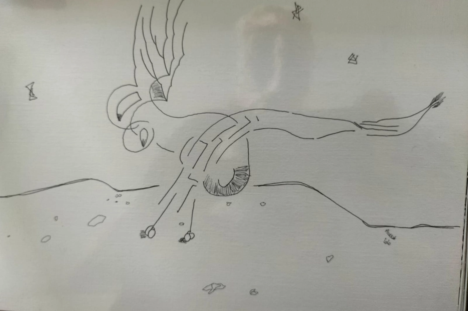 Miksch - Zeichnungen - Kunst von Gerhard Miksch